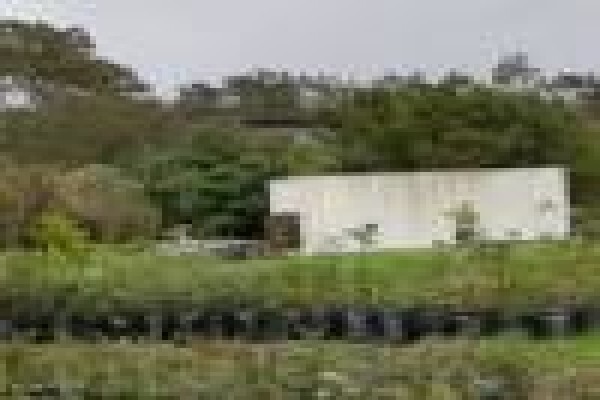 Trees & Hedges Nursery