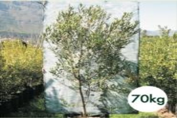 Trees & Hedges Nursery