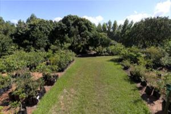 Twinstreams Indigenous Nursery & Landscaping
