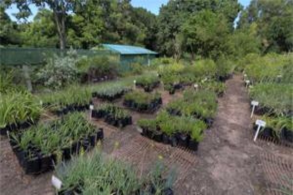 Twinstreams Indigenous Nursery & Landscaping