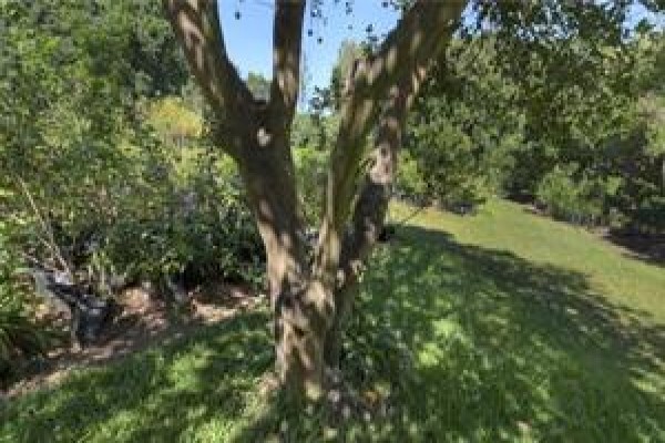 Twinstreams Indigenous Nursery & Landscaping