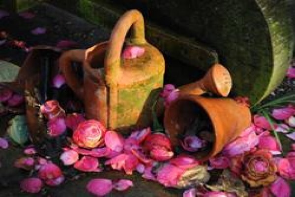 Floradale Nurseries