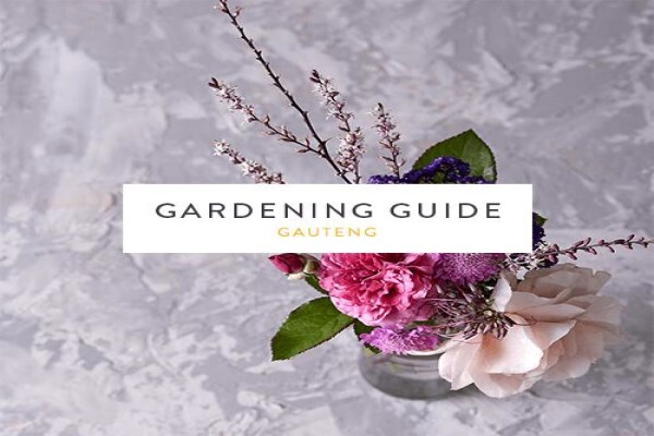 Stodels Nurseries (Pty) Ltd