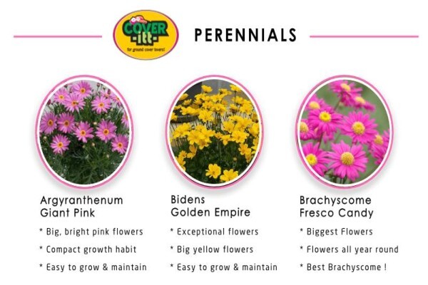 Doonholm Wholesale Nursery
