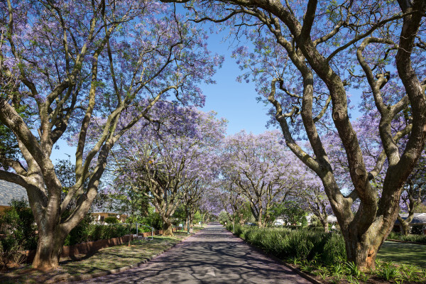 Randjes Estate Retirement Accommodation