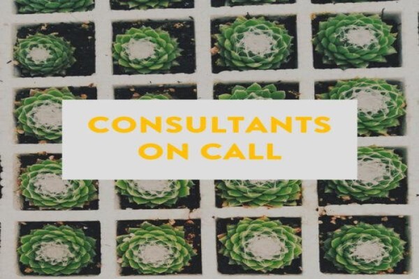 Stodels Nurseries (Pty) Ltd:Head Office:Accounts