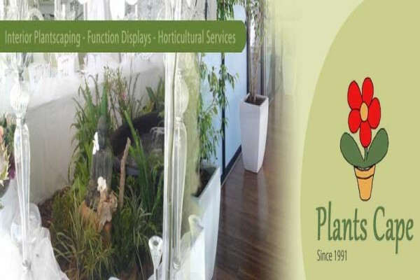 Plants Cape (Pty) Ltd