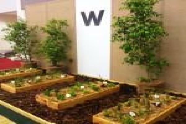 Plants Cape (Pty) Ltd