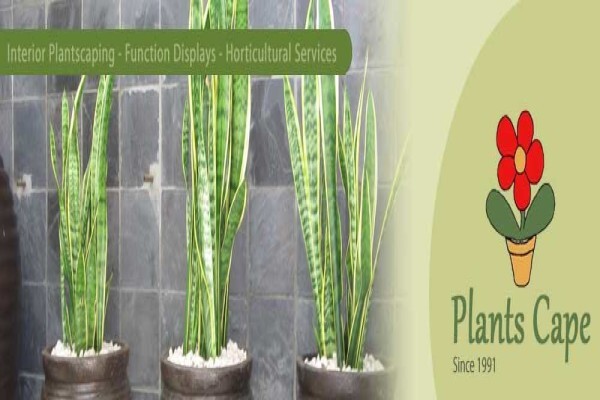 Plants Cape (Pty) Ltd