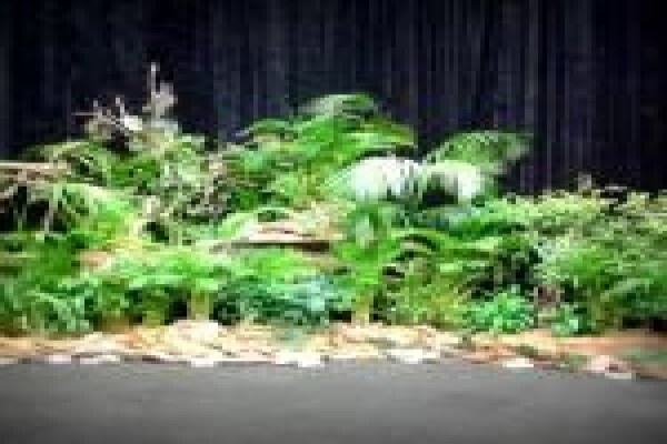 Plants Cape (Pty) Ltd