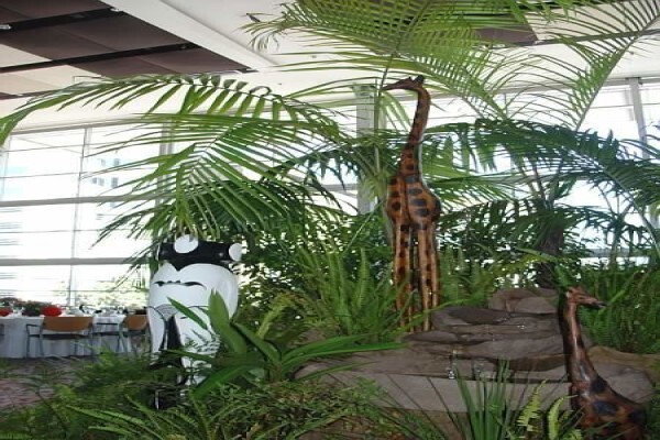 Plants Cape (Pty) Ltd
