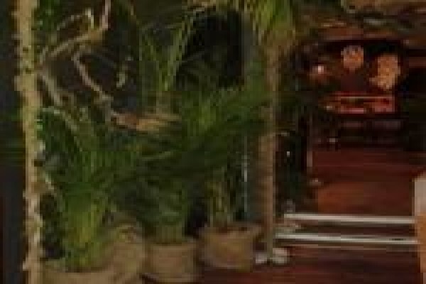 Plants Cape (Pty) Ltd