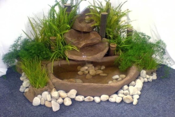 Plants Cape (Pty) Ltd