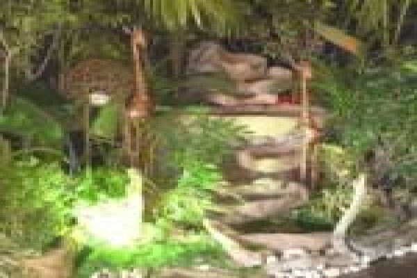 Plants Cape (Pty) Ltd