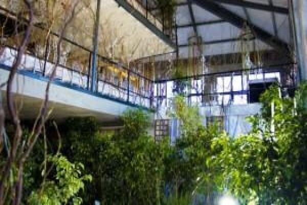 Plants Cape (Pty) Ltd