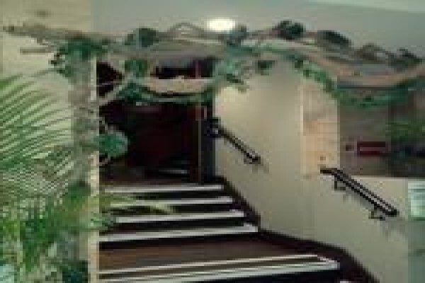 Plants Cape (Pty) Ltd