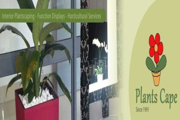 Plants Cape (Pty) Ltd