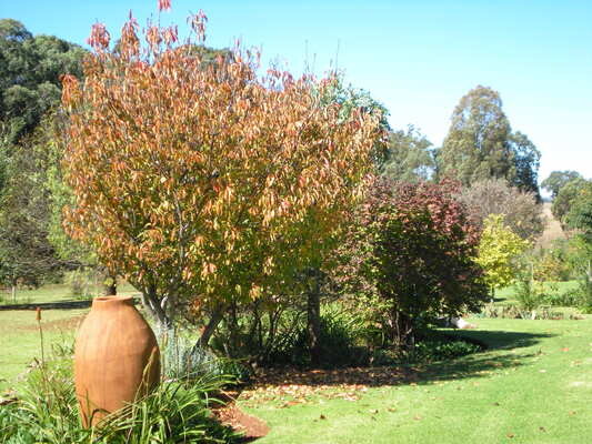 Golden Harvest Retirement Resort