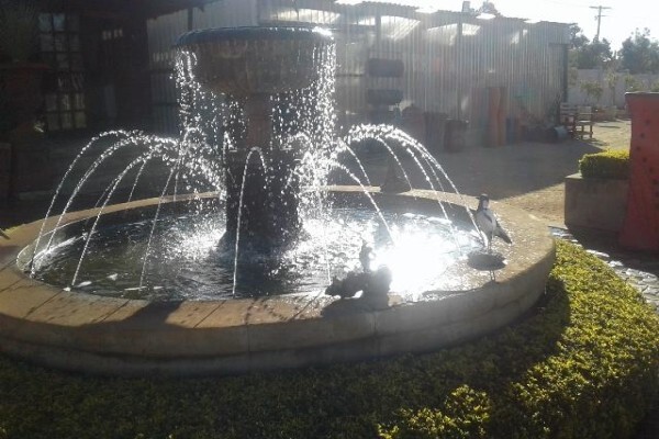 Newlands Garden Centre