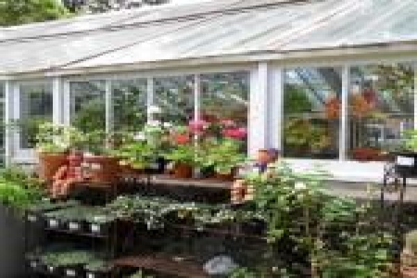 The Greenhouse Nursery