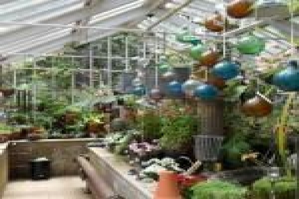 The Greenhouse Nursery
