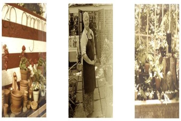The Greenhouse Nursery