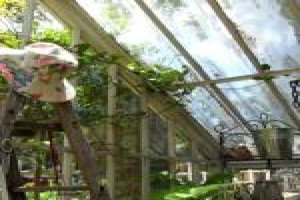 The Greenhouse Nursery
