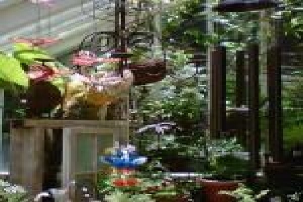 The Greenhouse Nursery