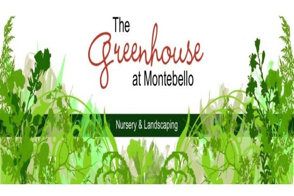 The Greenhouse Nursery