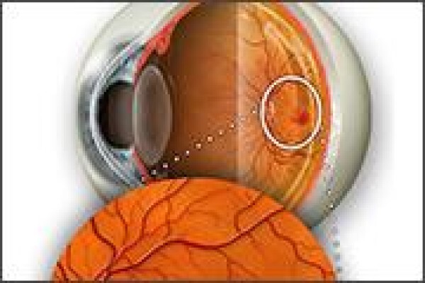 Casoojee Optometrist