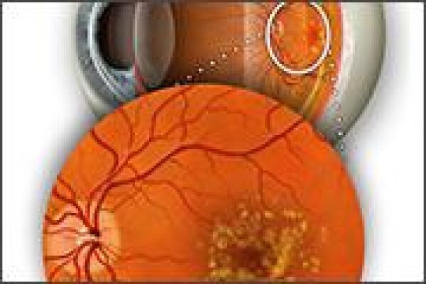 Casoojee Optometrist