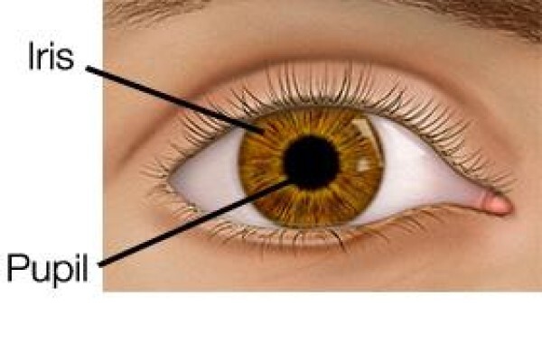 Casoojee Optometrist