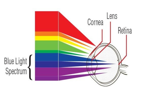 Torga Optical:Branches:Rissik Street