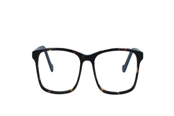 Execuspecs Optometrists:Branches:Appletons