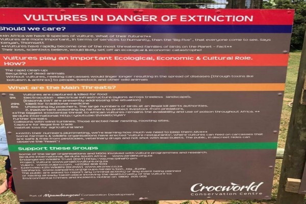 Crocodile Farm