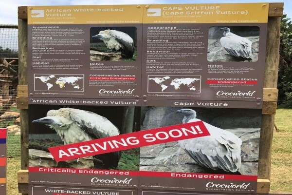 Crocodile Farm