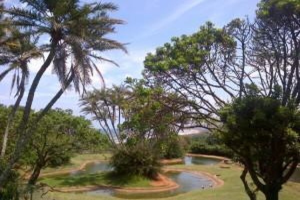 Crocodile Farm