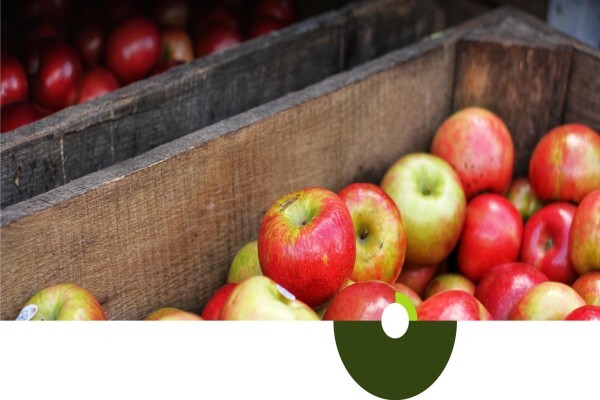 Overberg Agri Bedrywe (Pty) Ltd