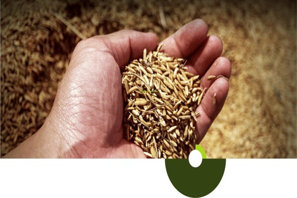 Overberg Agri Bedrywe (Pty) Ltd