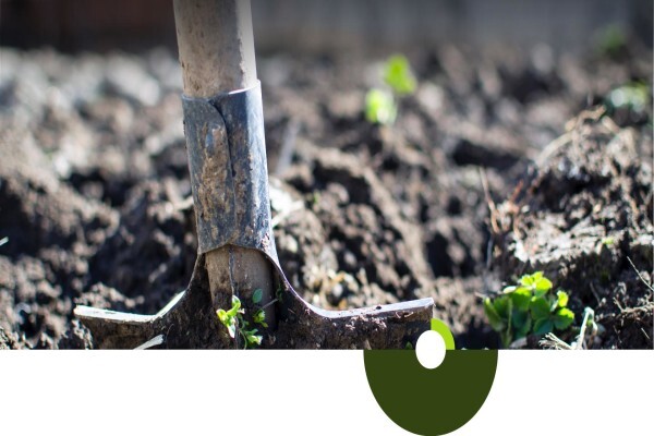 Overberg Agri Bedrywe (Pty) Ltd