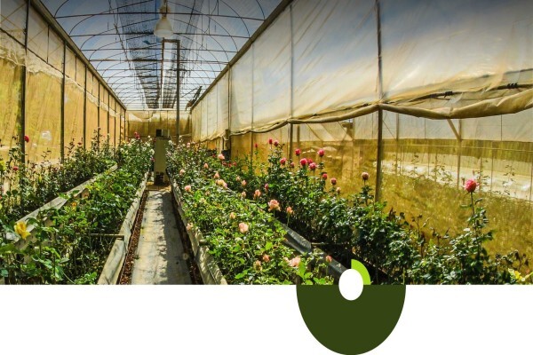 Overberg Agri Bedrywe (Pty) Ltd
