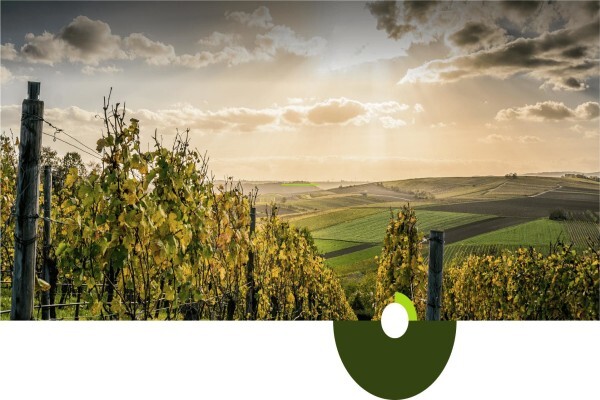 Overberg Agri Bedrywe (Pty) Ltd