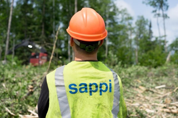 Sappi Paper & Paper Packaging