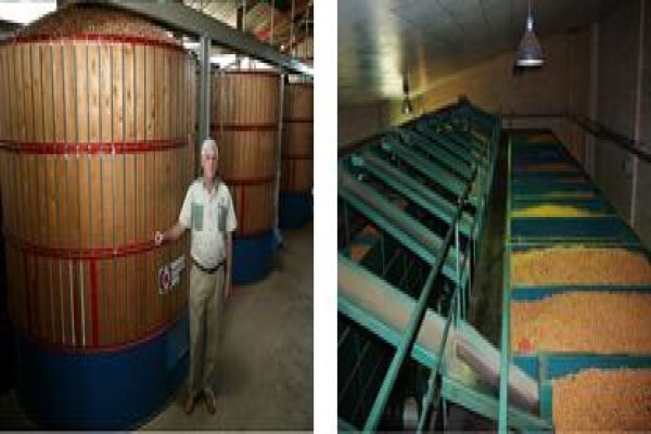 Royal Macadamia (Pty) Ltd