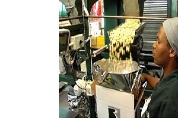 Royal Macadamia (Pty) Ltd