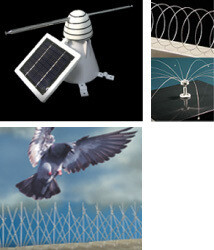 Bird Control SA