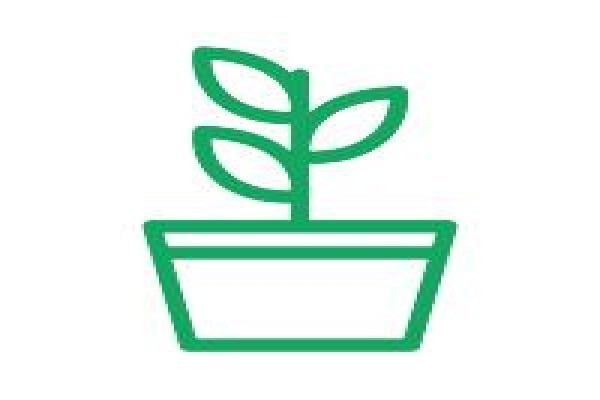 Lindol Hygiene Services (Pty) Ltd:Pest Control