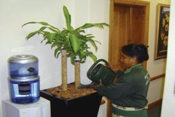 Lindol Hygiene Services (Pty) Ltd:Pest Control