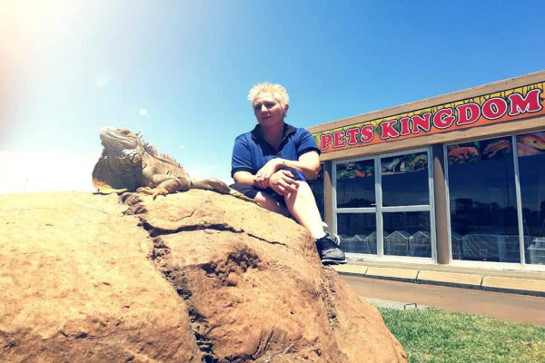 Pets Kingdom