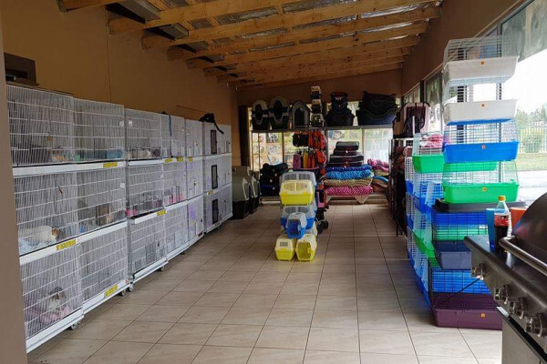 Pets Kingdom
